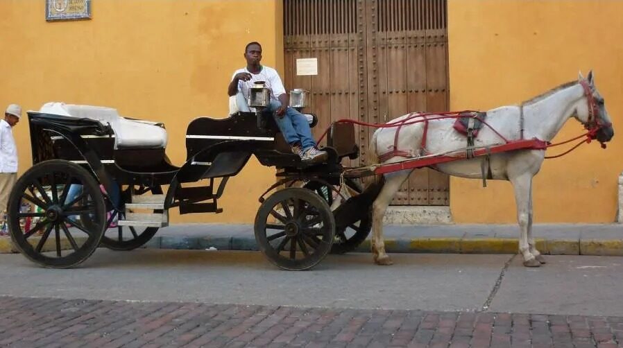 Coches-Cartagena