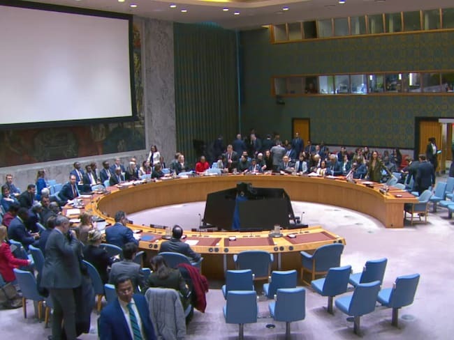 Consejo de Seguridad de la ONU